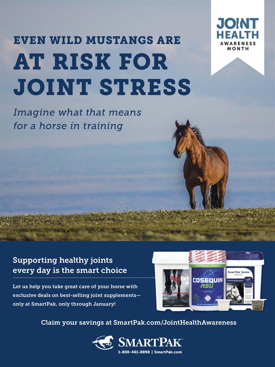 Horse Illustrated Magazine Preview Pages