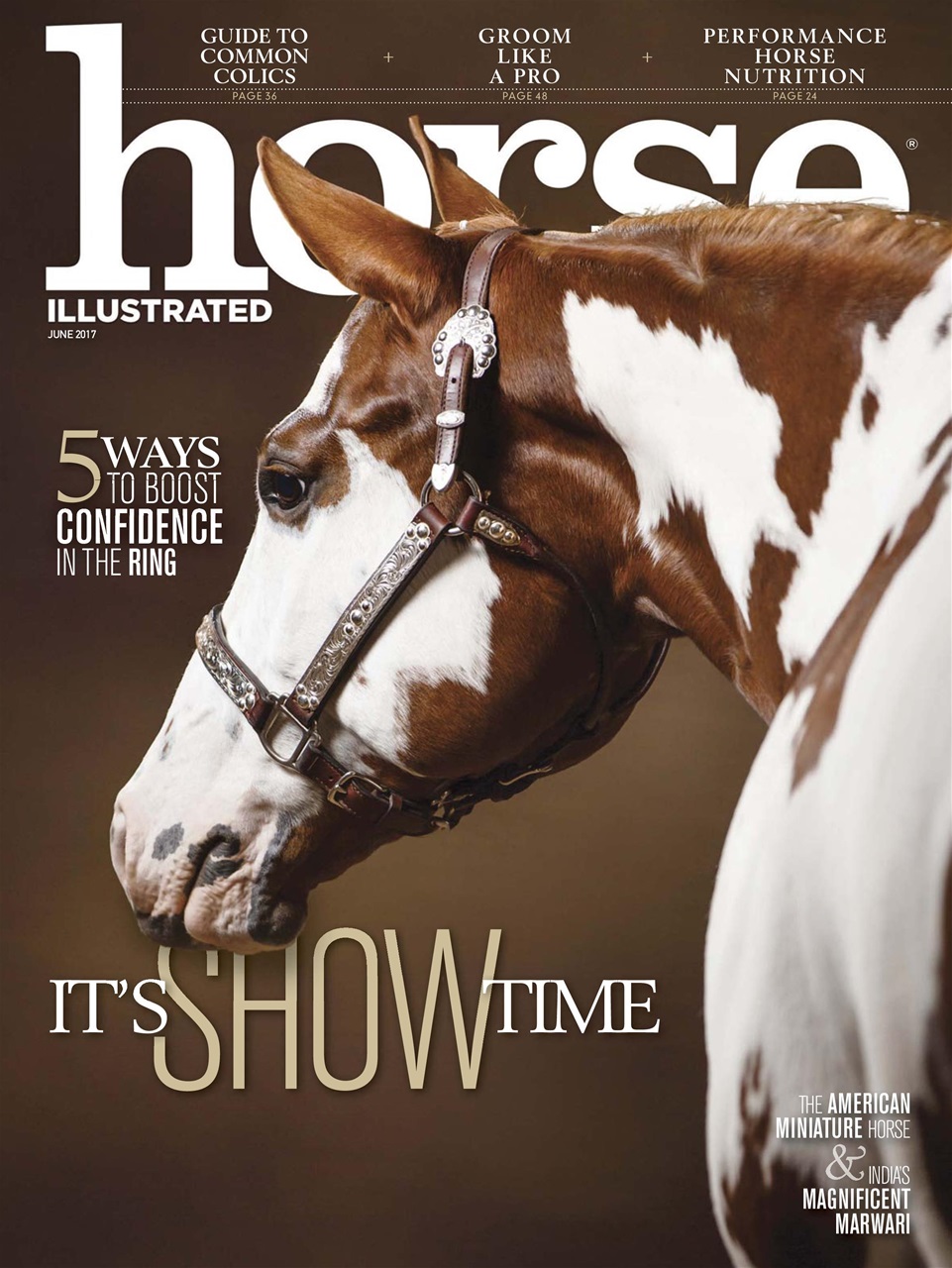 Horse Illustrated Magazine Preview Pages