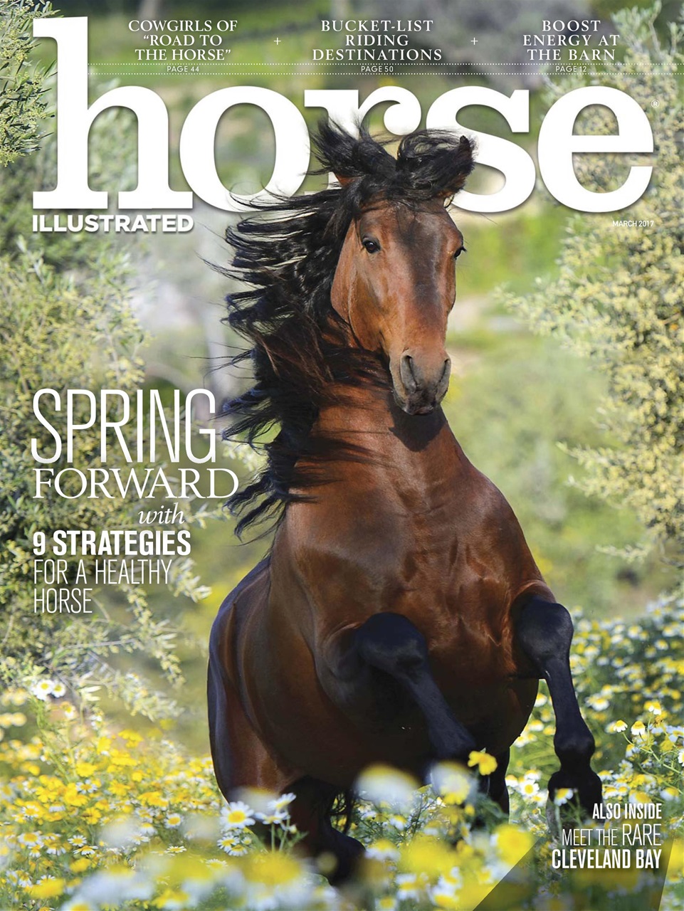 Horse Illustrated Magazine Preview Pages