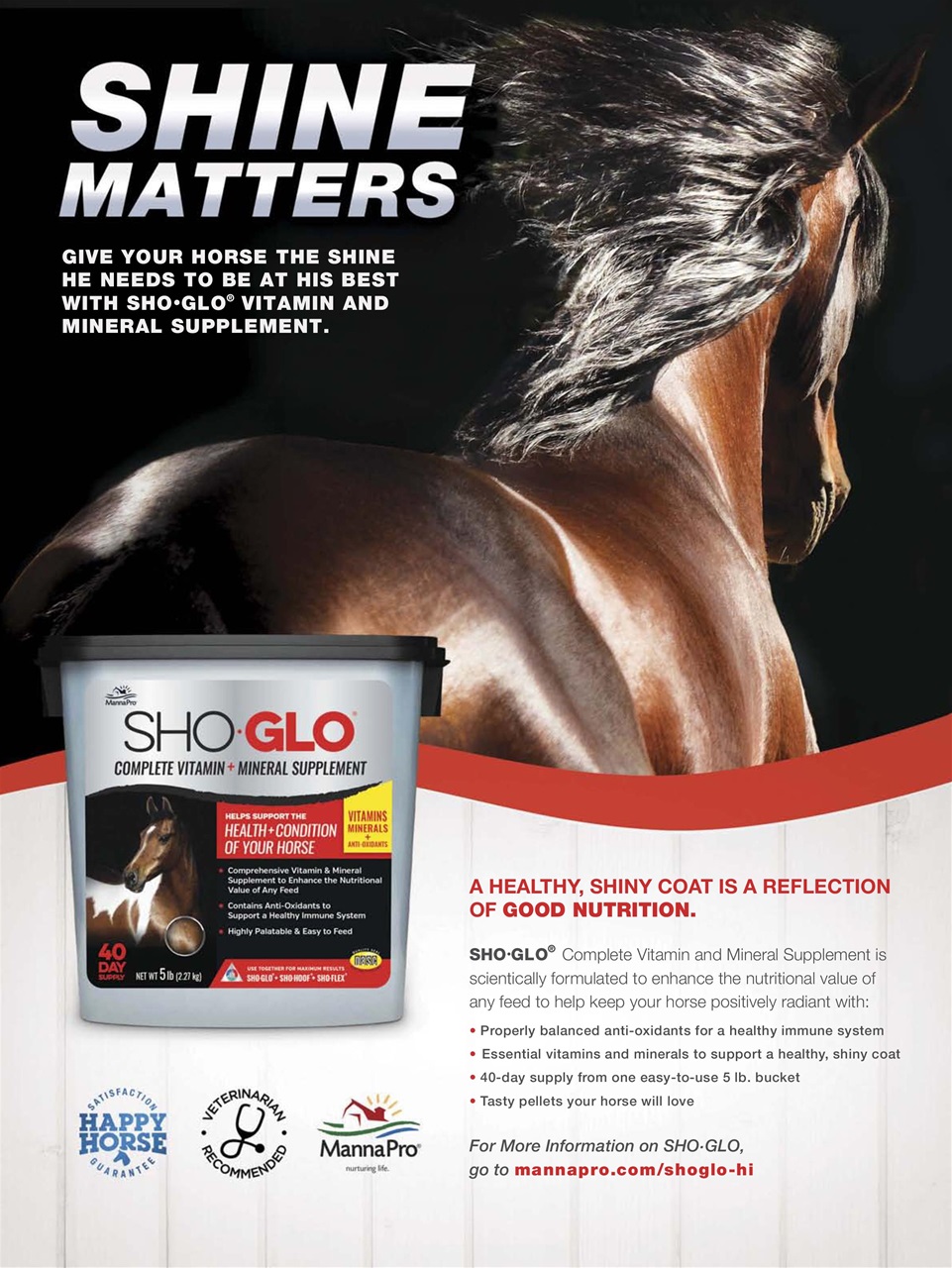 Horse Illustrated Magazine Preview Pages