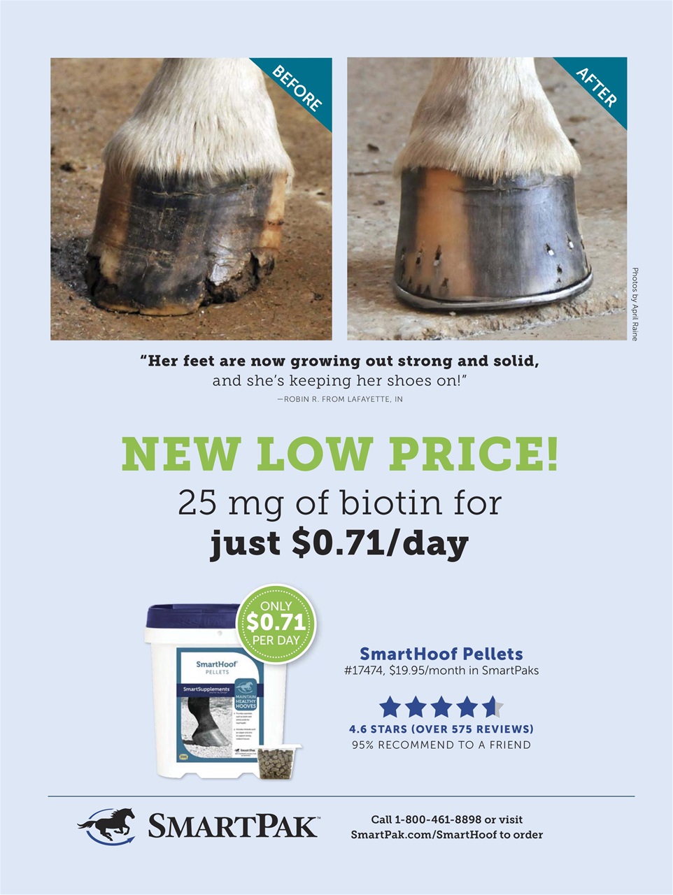 Horse Illustrated Magazine Preview Pages