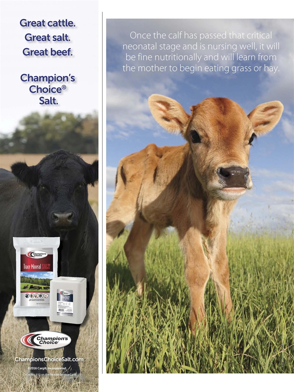 Hobby Farms Magazine Preview Pages