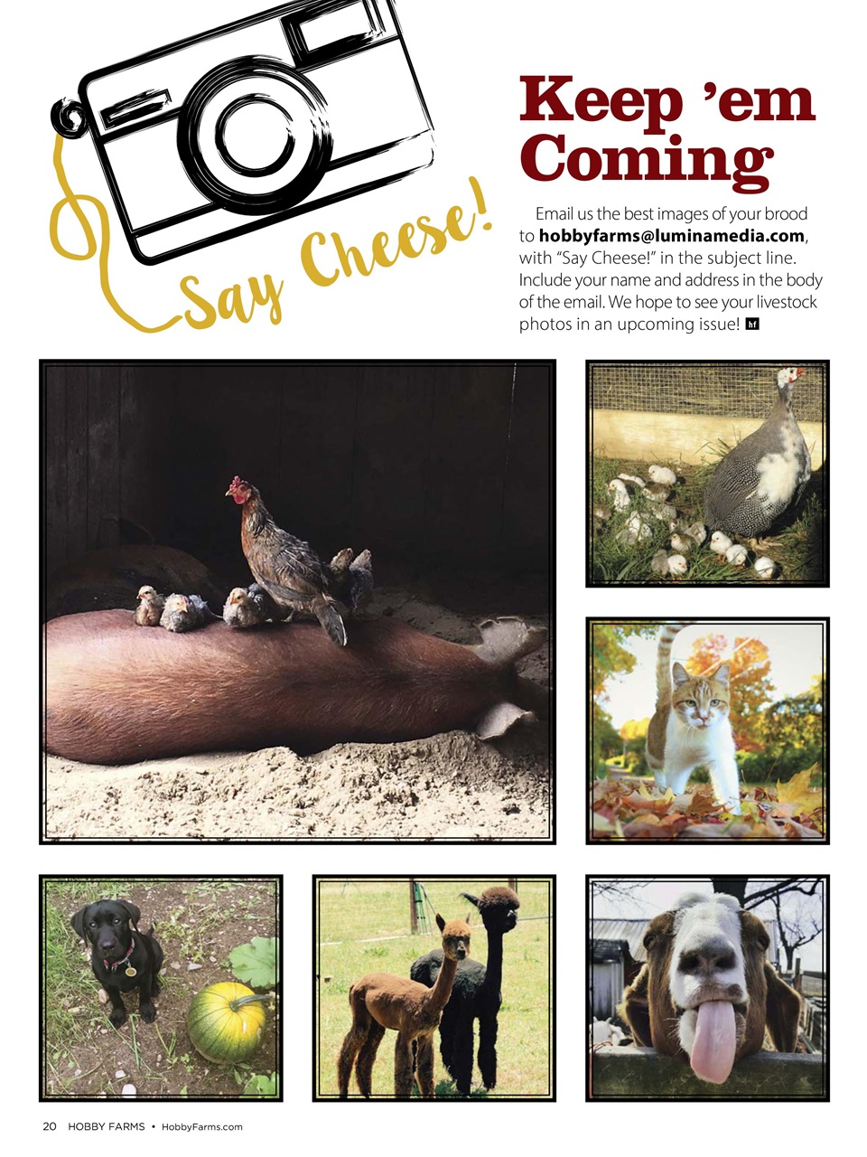 Hobby Farms Magazine Preview Pages