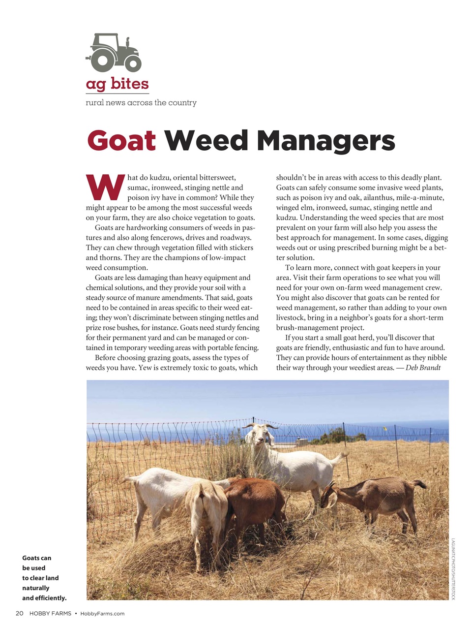 Hobby Farms Magazine Preview Pages