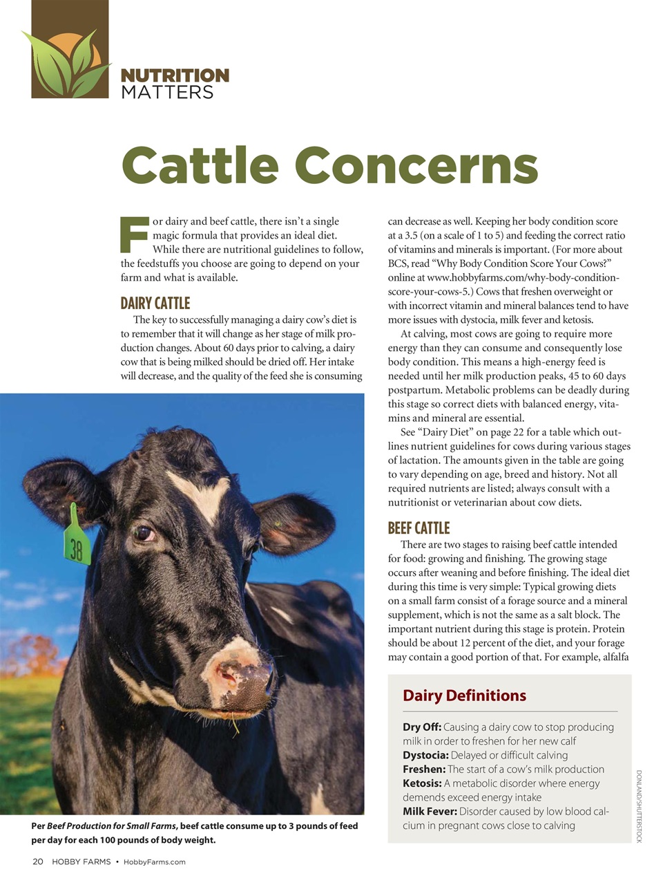 Hobby Farms Magazine Preview Pages