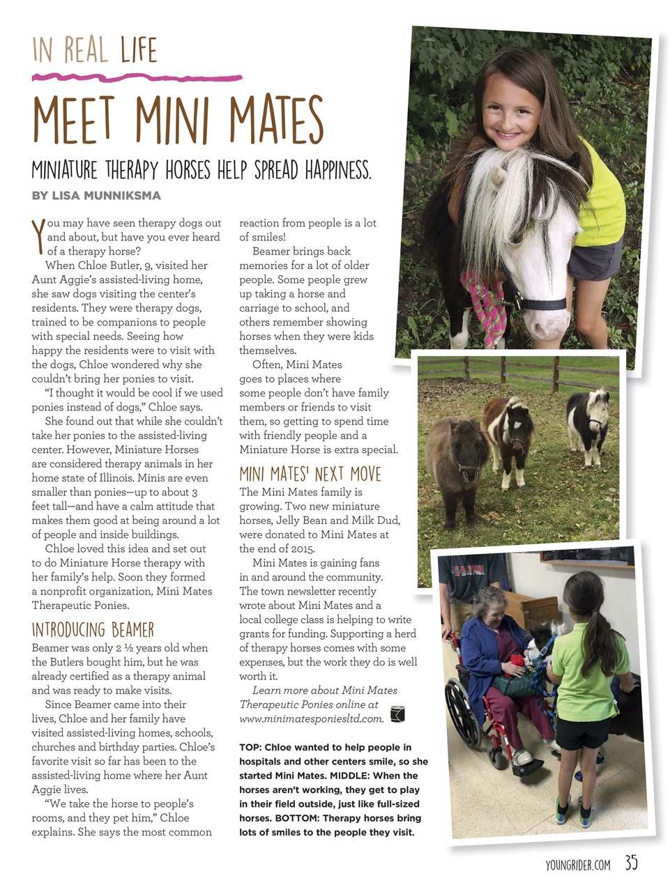Young Rider Magazine Preview Pages