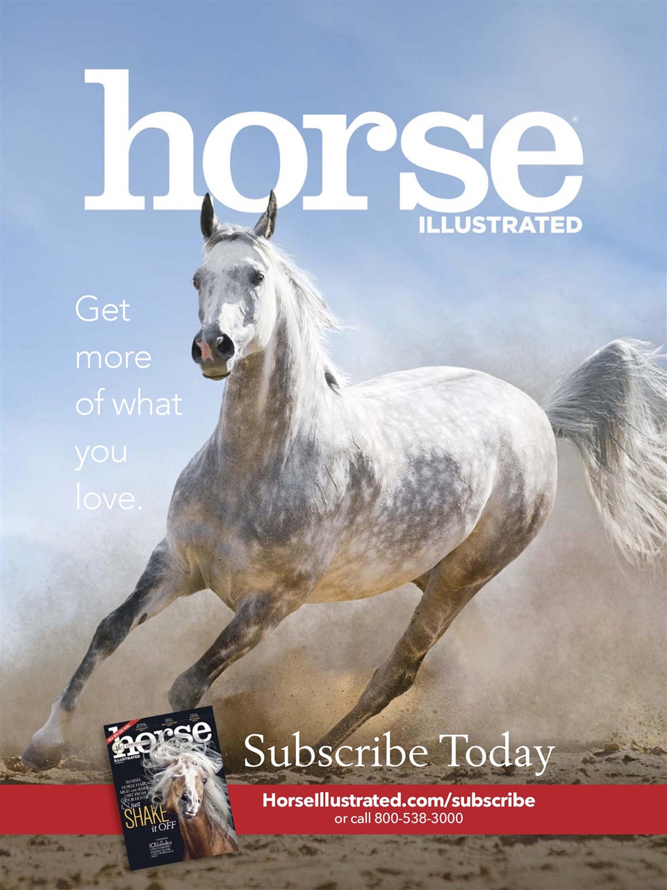 Young Rider Magazine Preview Pages