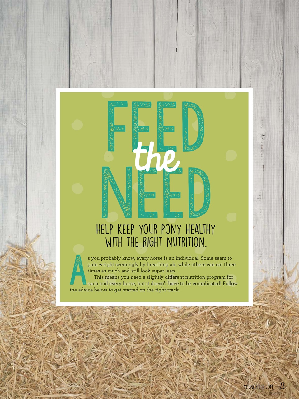 Young Rider Magazine Preview Pages