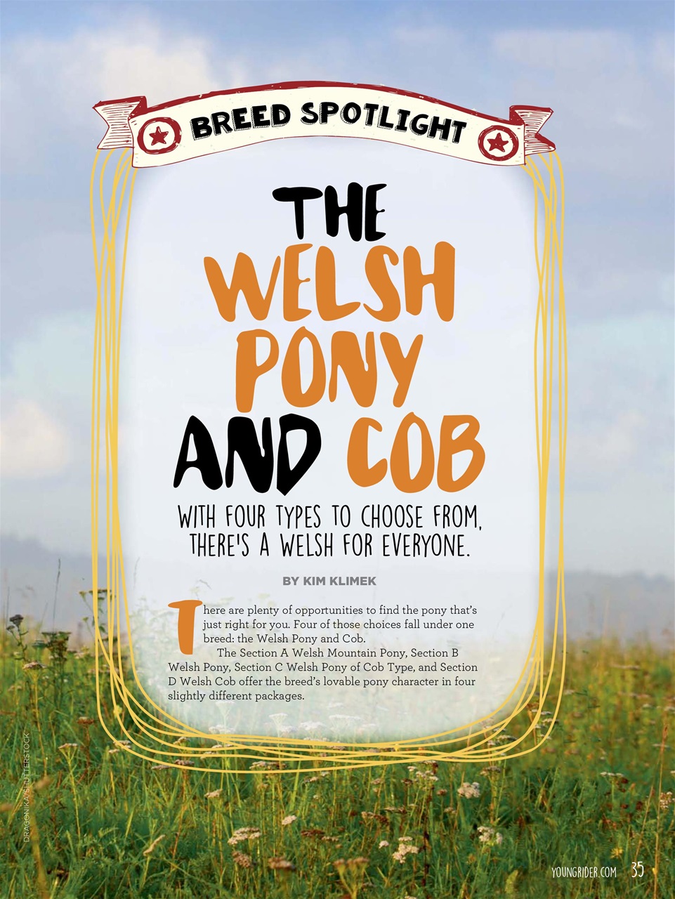 Young Rider Magazine Preview Pages