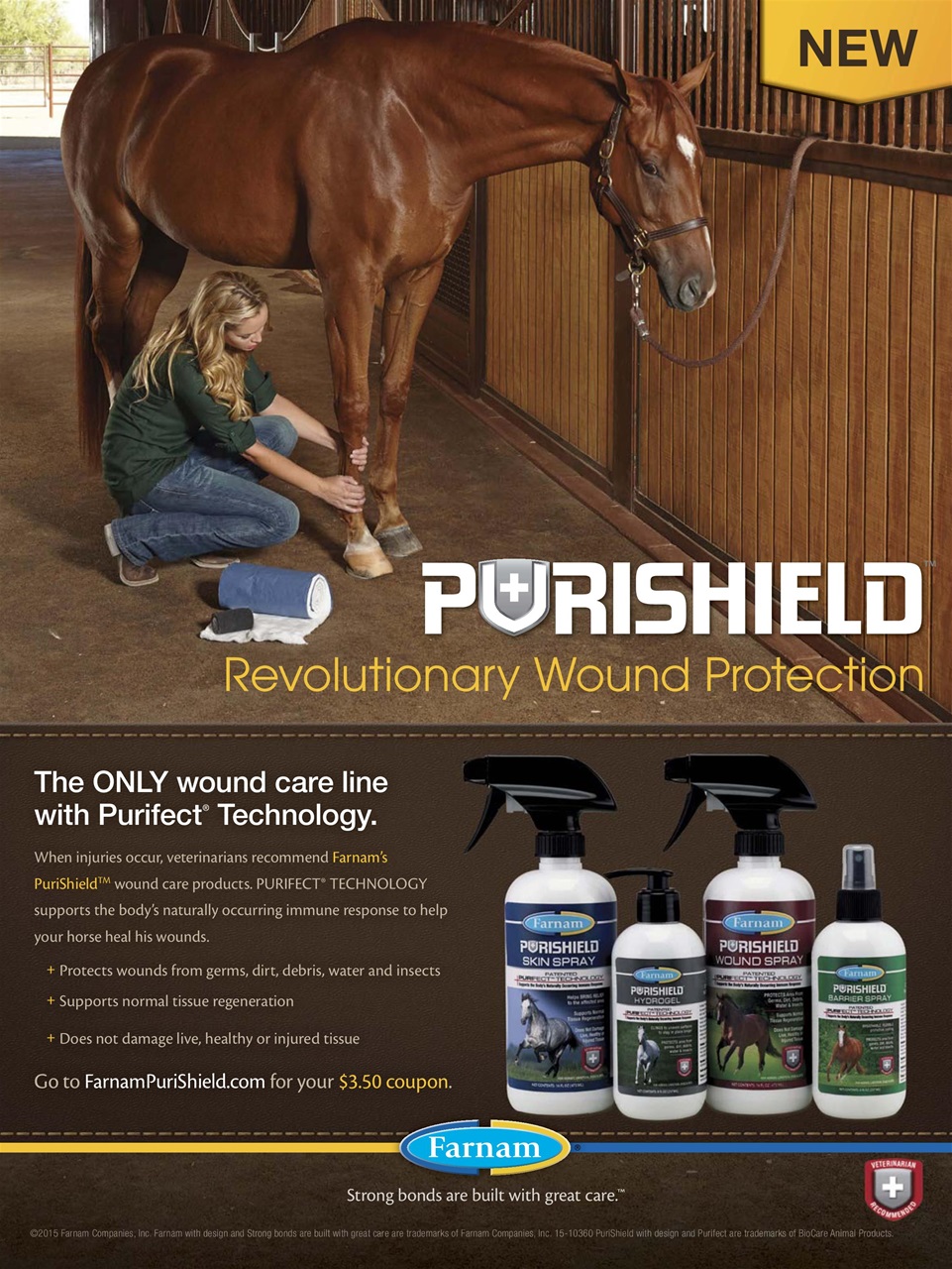 Young Rider Magazine Preview Pages