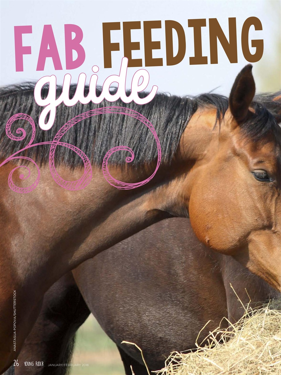 Young Rider Magazine Preview Pages