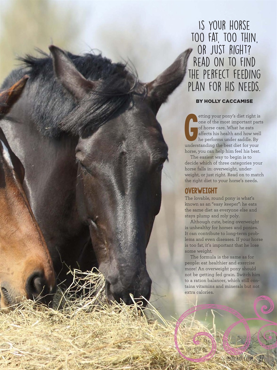 Young Rider Magazine Preview Pages