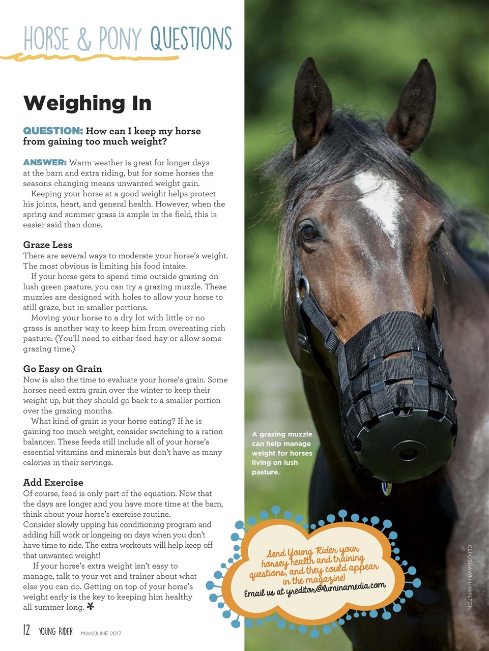 Young Rider Magazine Preview Pages