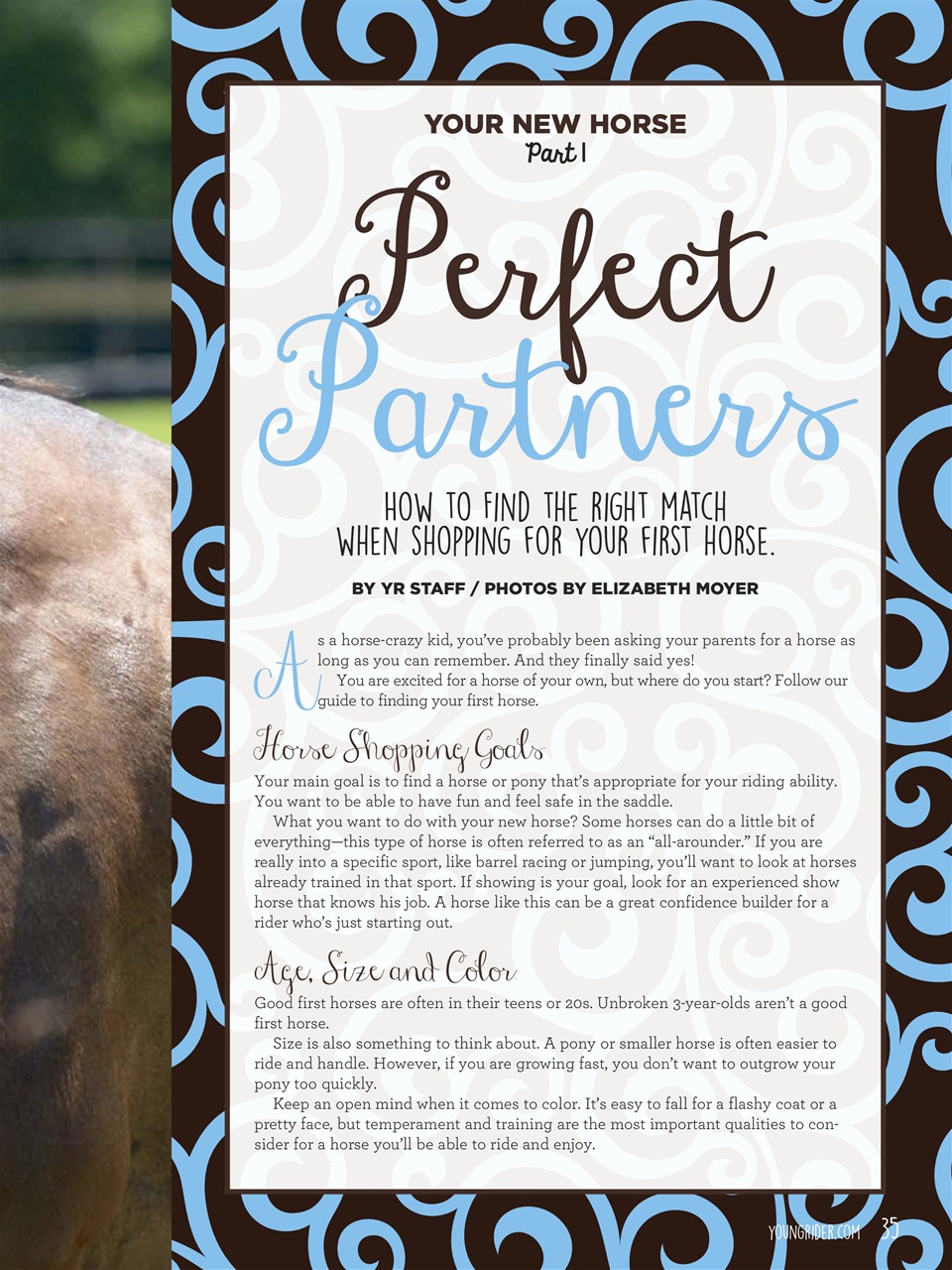 Young Rider Magazine Preview Pages