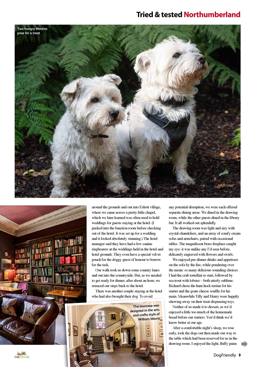 Dog Friendly Preview Pages