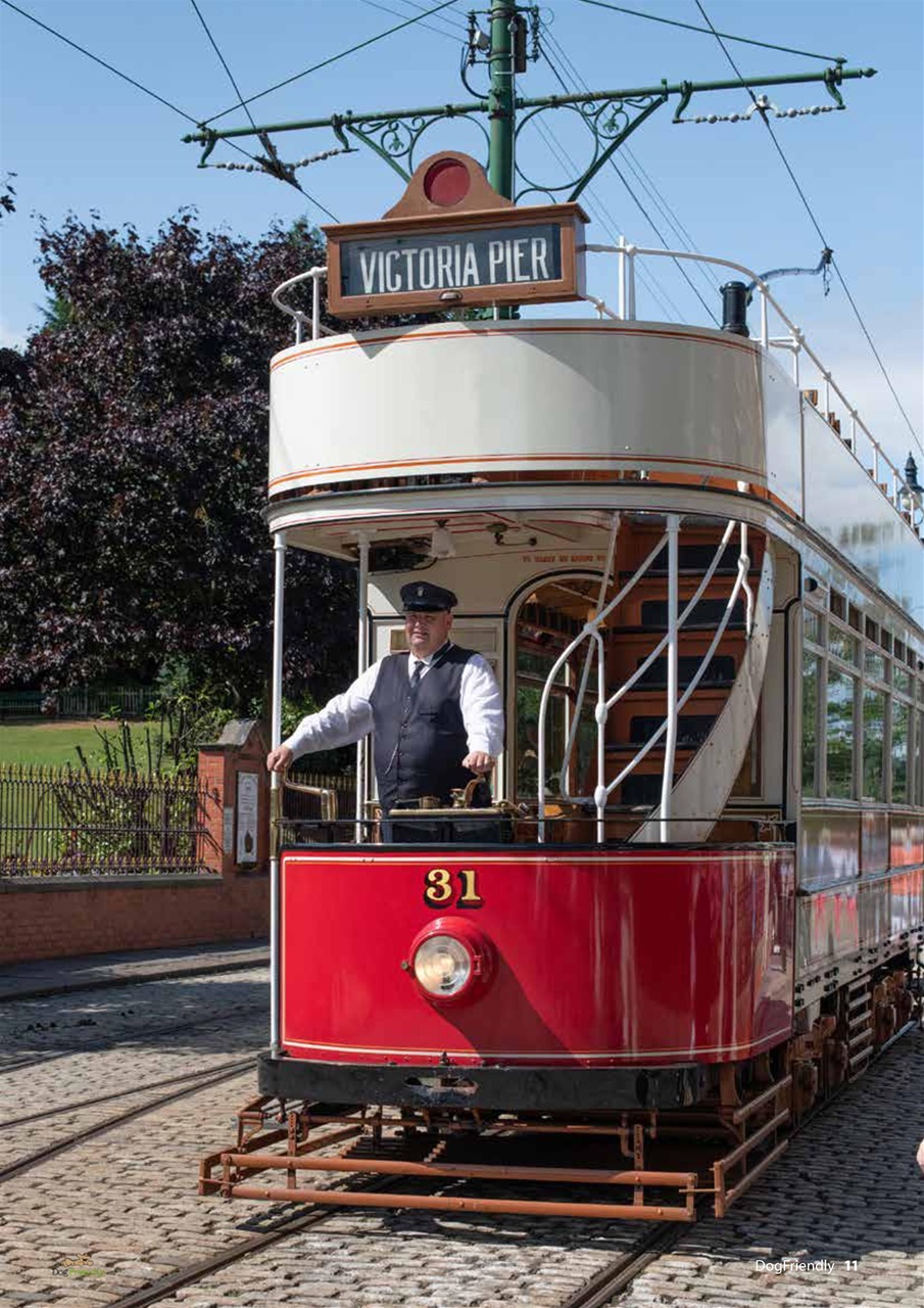 Dog Friendly Preview Pages