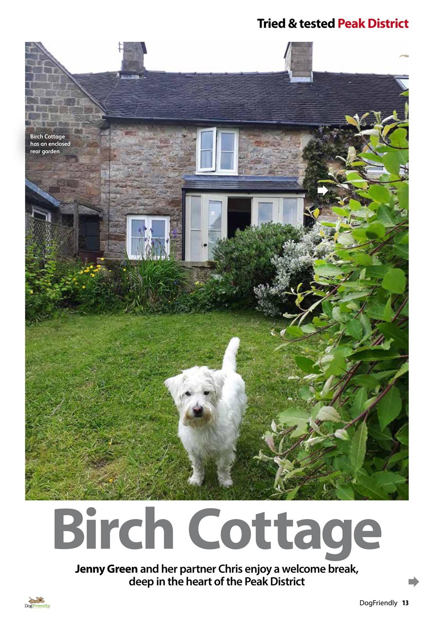 Dog Friendly Preview Pages