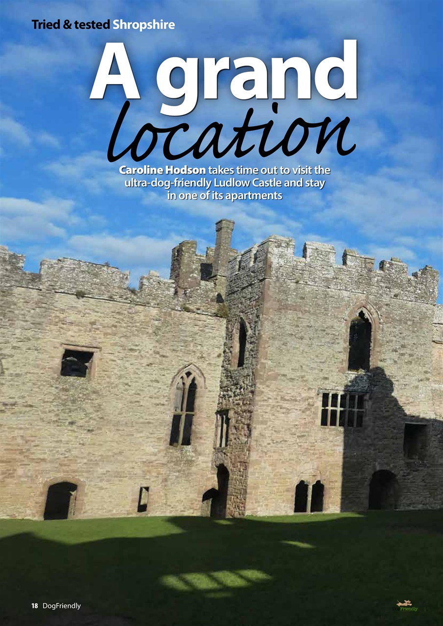 Dog Friendly Preview Pages