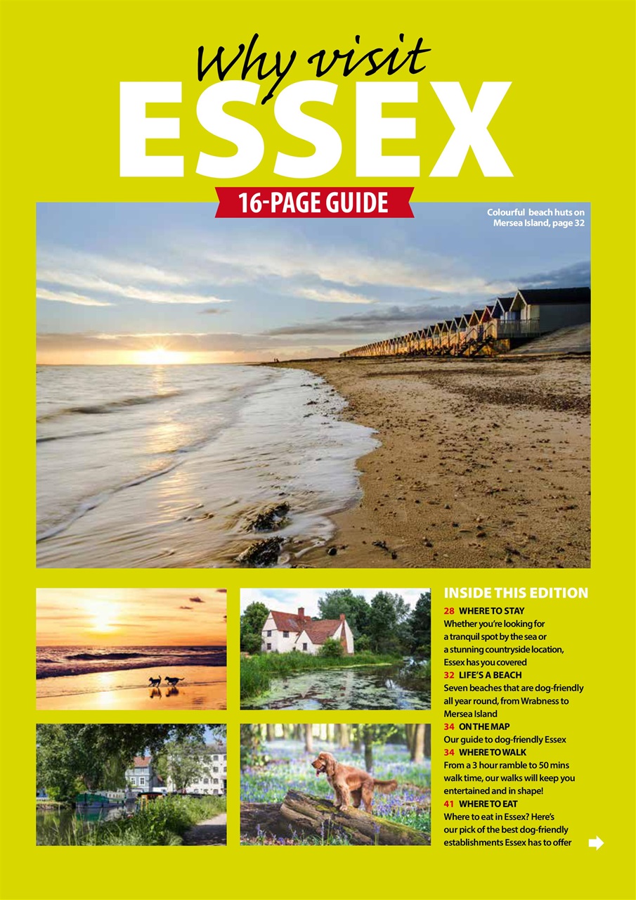 Dog Friendly Preview Pages