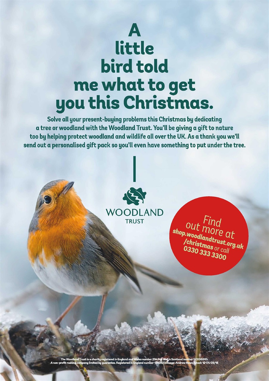 The Christmas Magazine Preview Pages