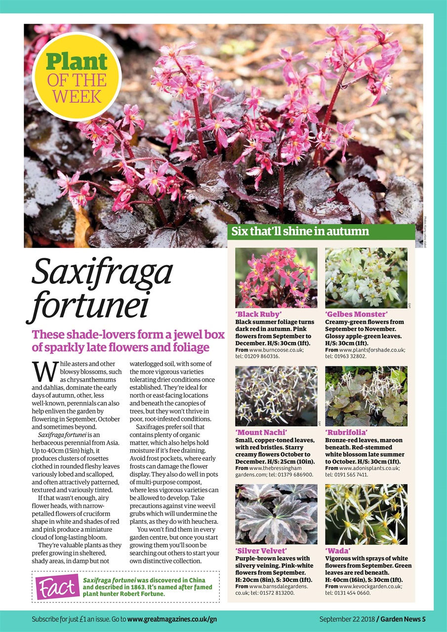 Garden News Preview Pages