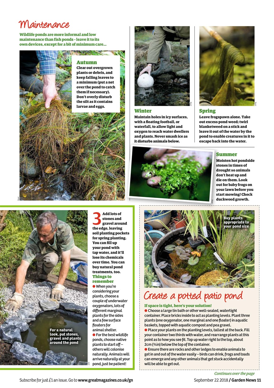 Garden News Preview Pages