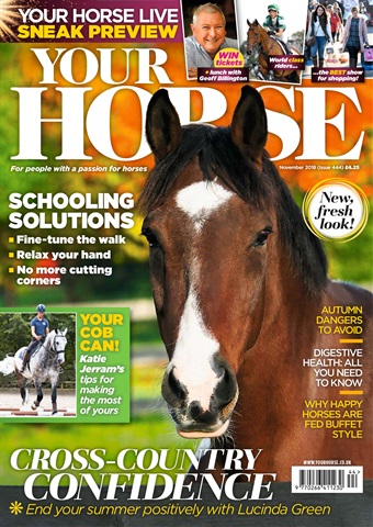 Your Horse issue November 2018