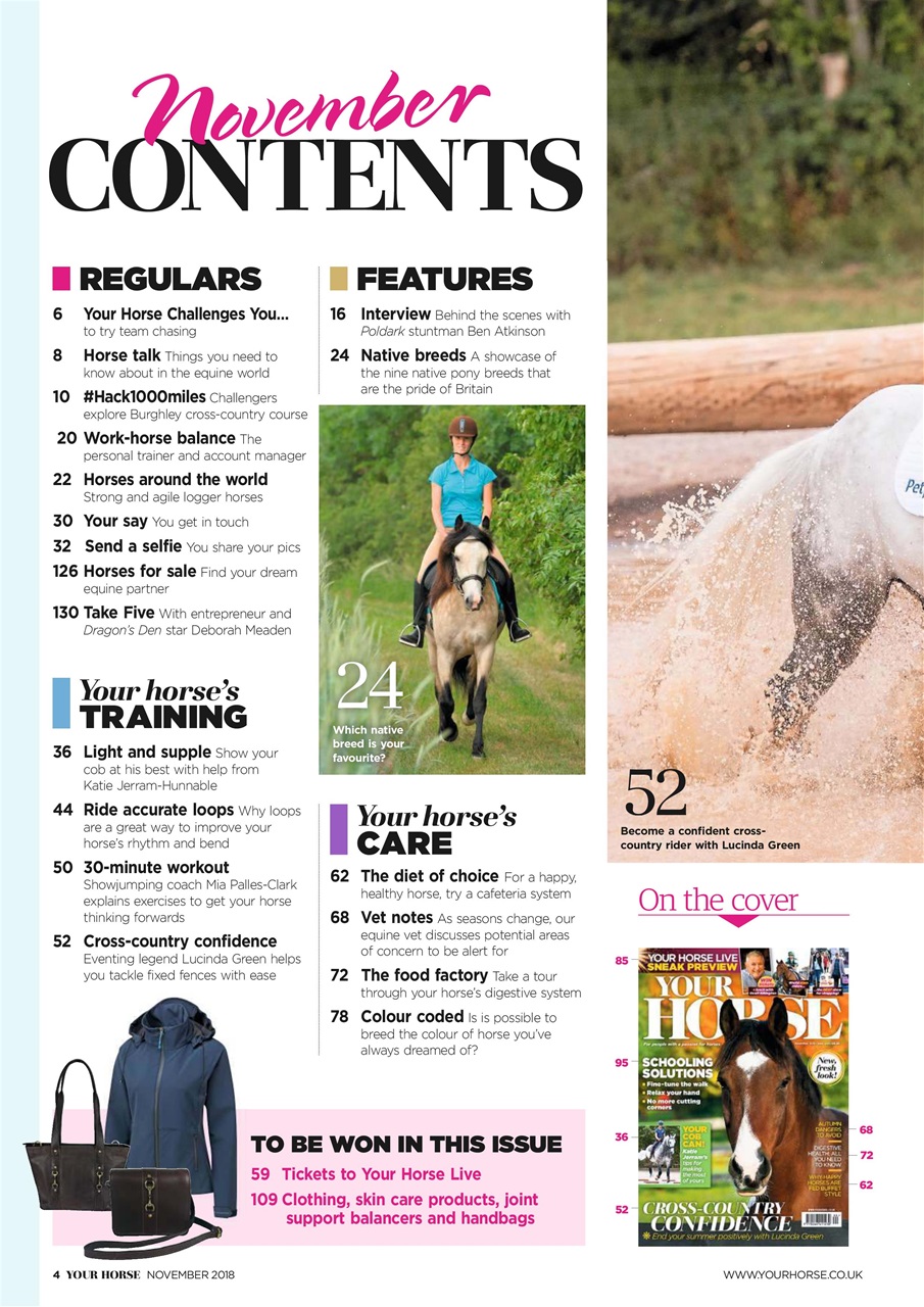 Your Horse Preview Pages