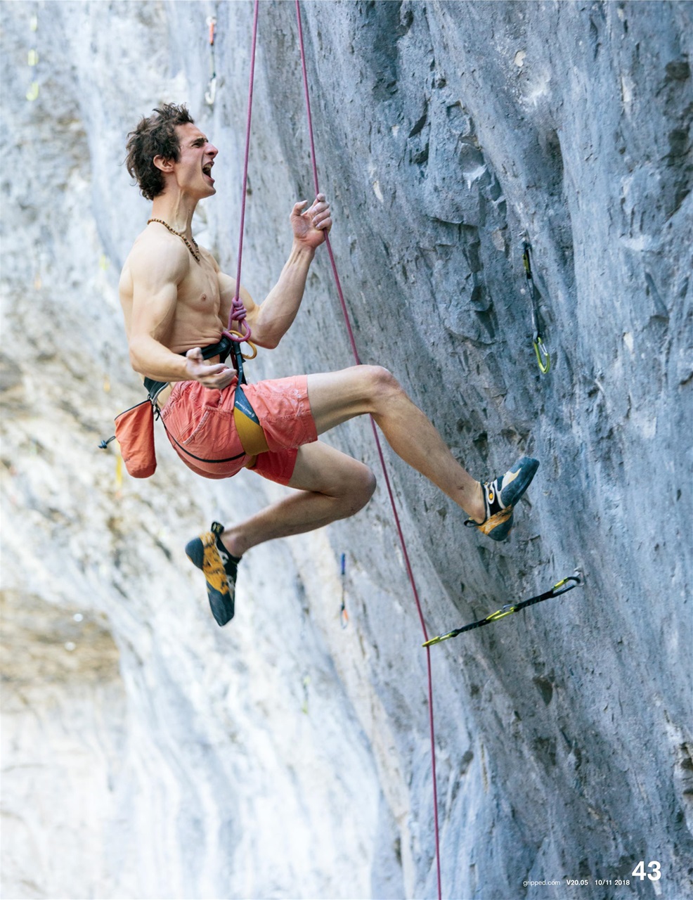 Gripped Preview Pages