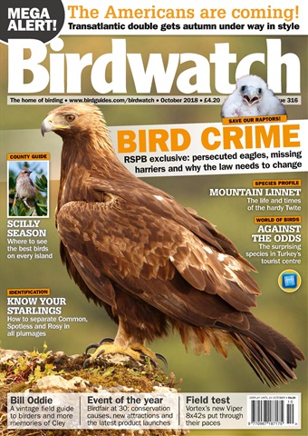 Birdwatch Magazine issue October 2018