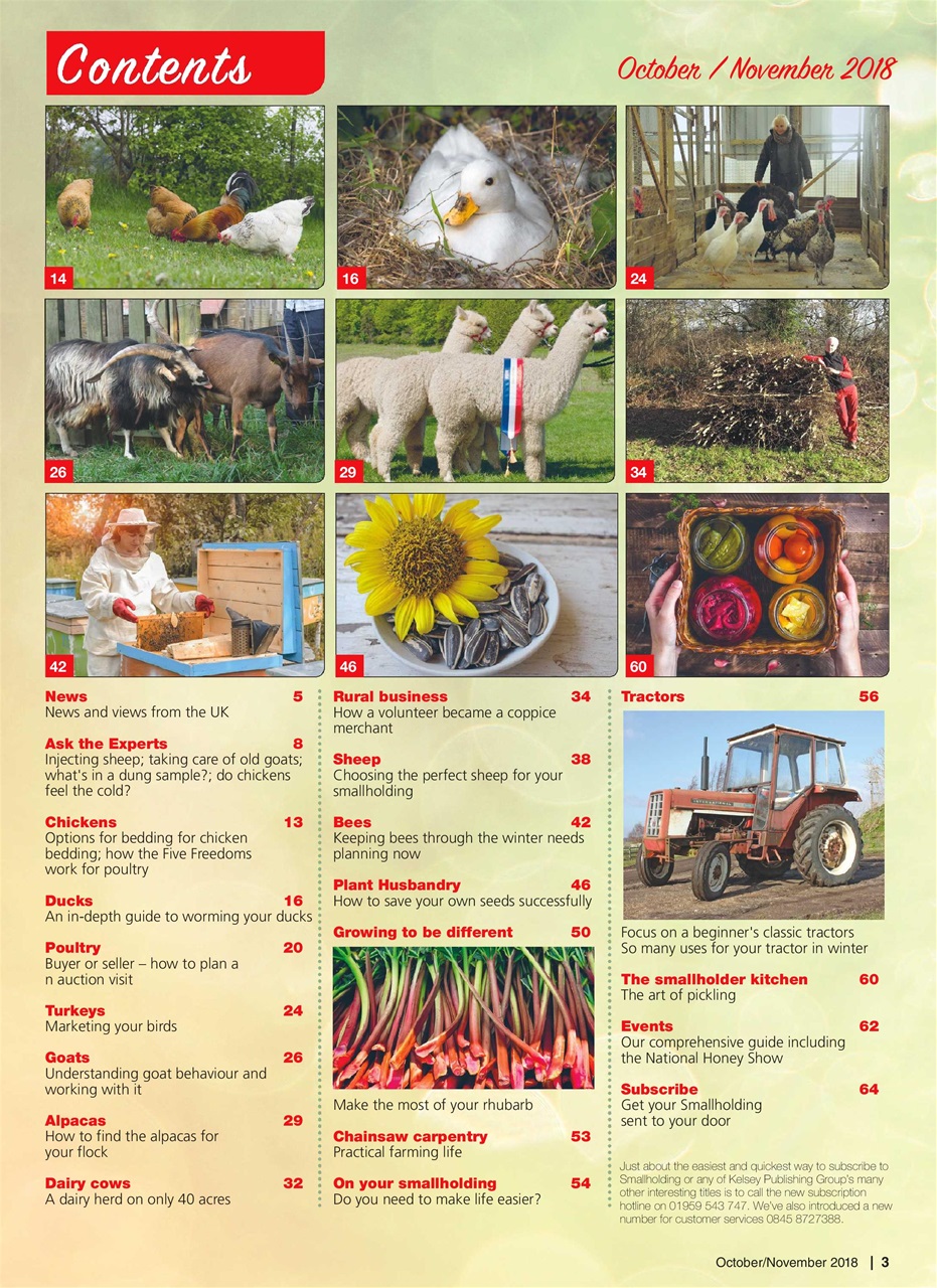 The Smallholder Preview Pages