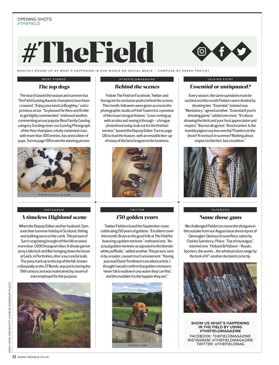 The Field Preview Pages