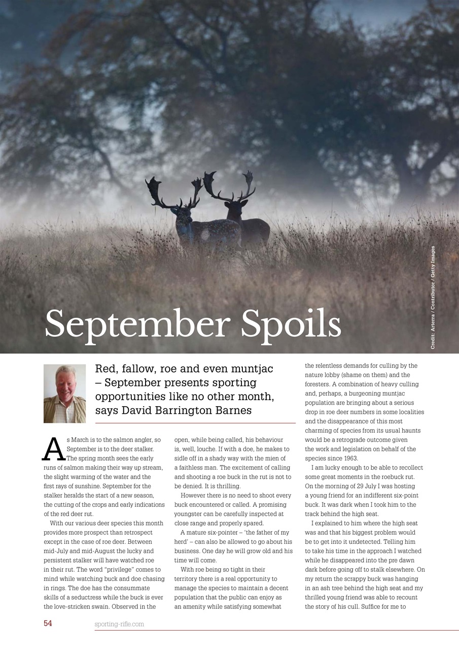 Sporting Rifle Preview Pages