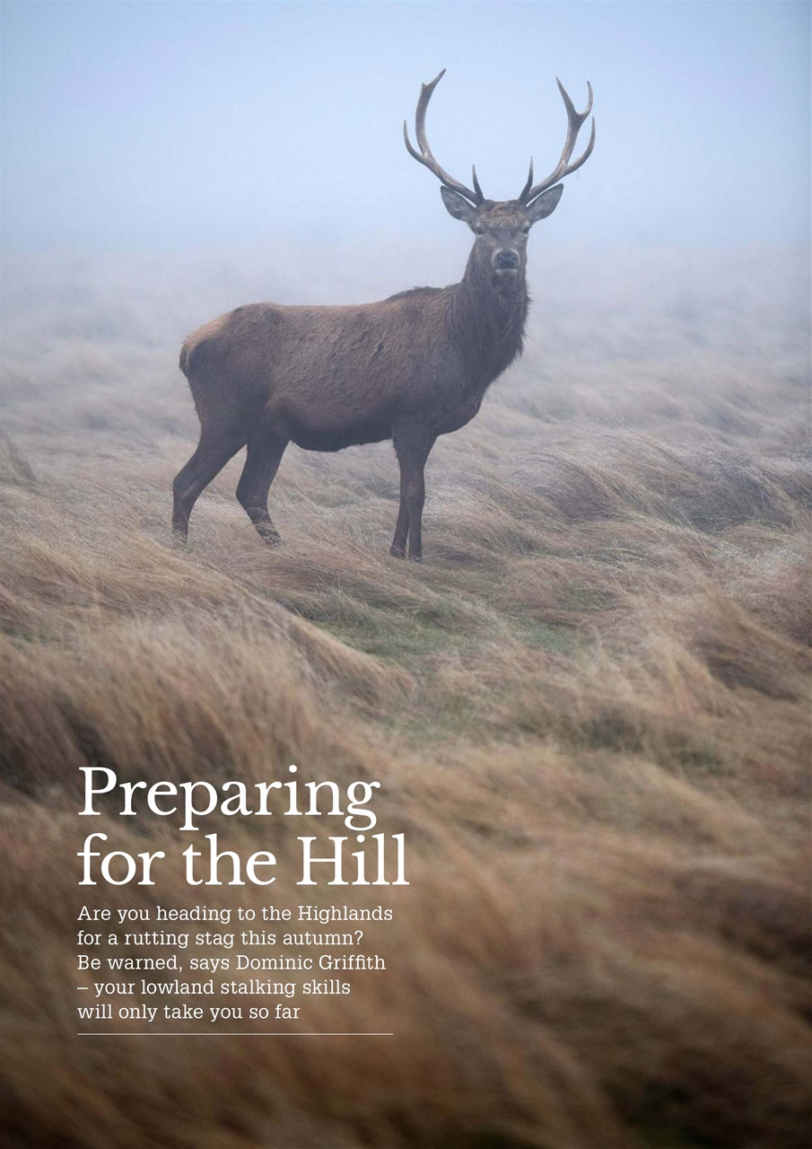 Sporting Rifle Preview Pages