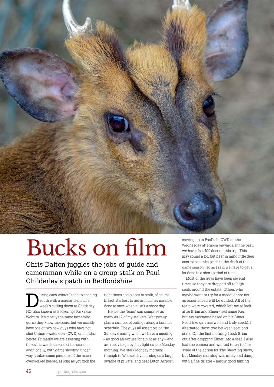 Sporting Rifle Preview Pages