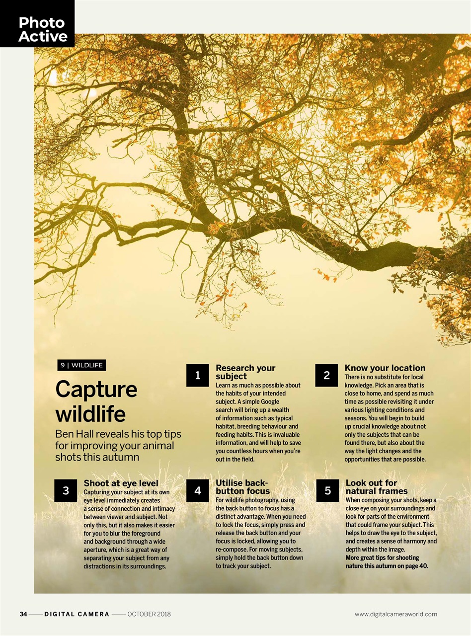 Digital Camera Magazine Preview Pages