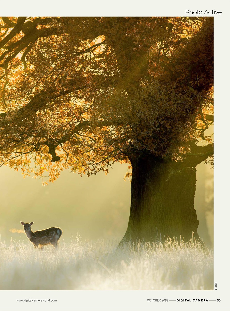 Digital Camera Magazine Preview Pages