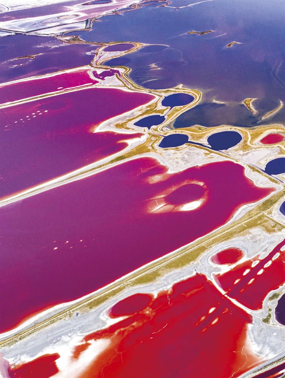 BBC Science Focus Magazine Preview Pages