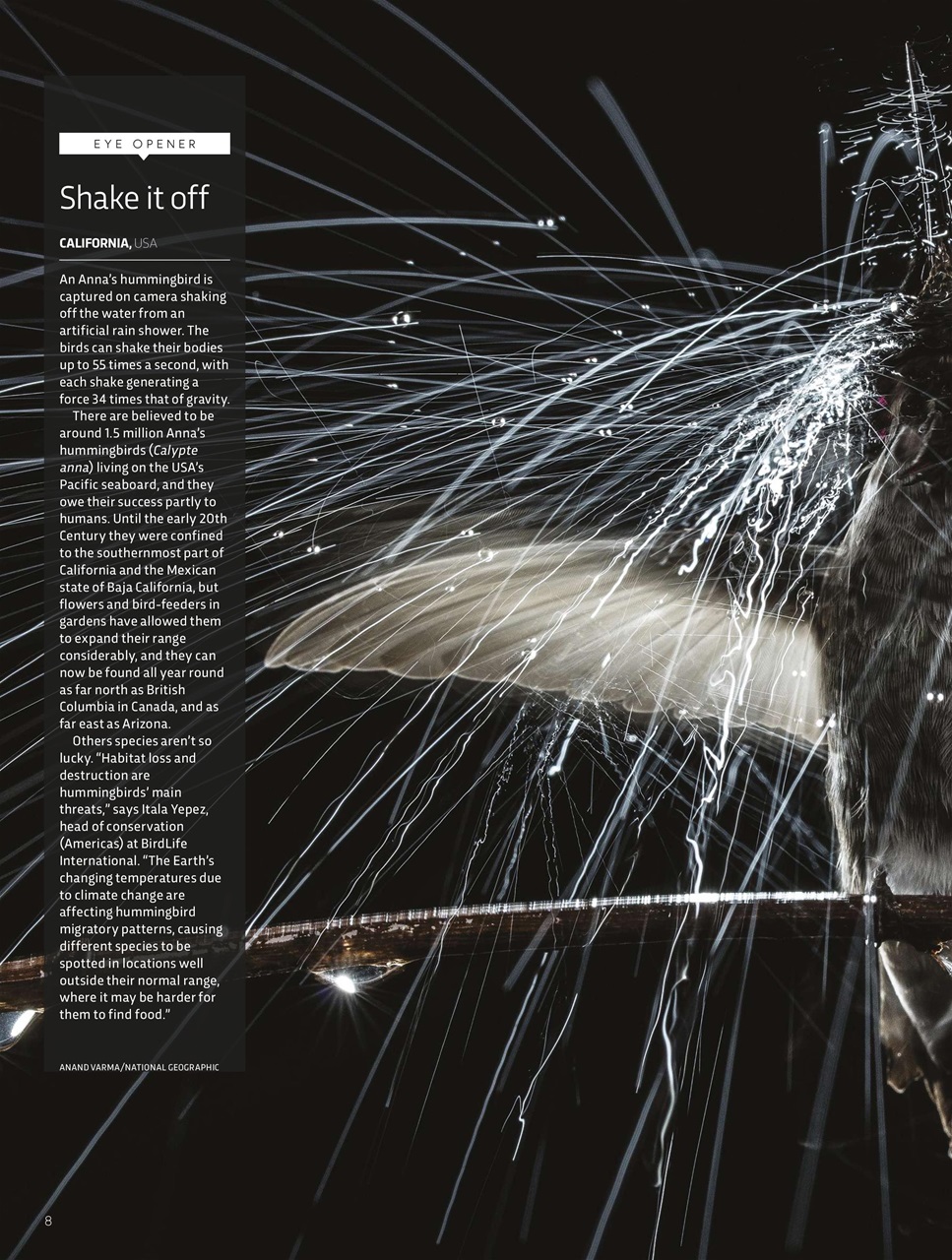 BBC Science Focus Magazine Preview Pages