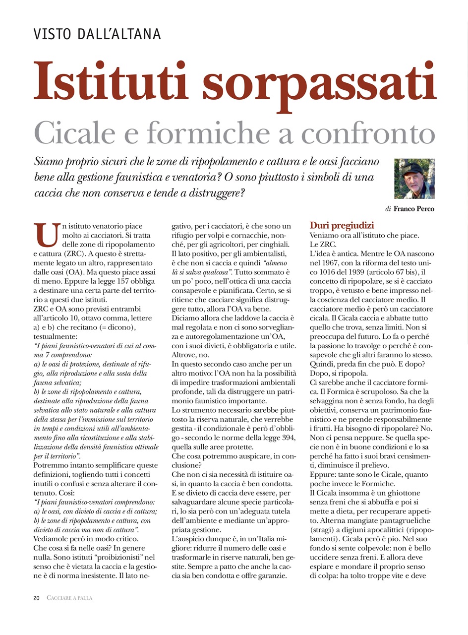 Caccia Magazine Preview Pages