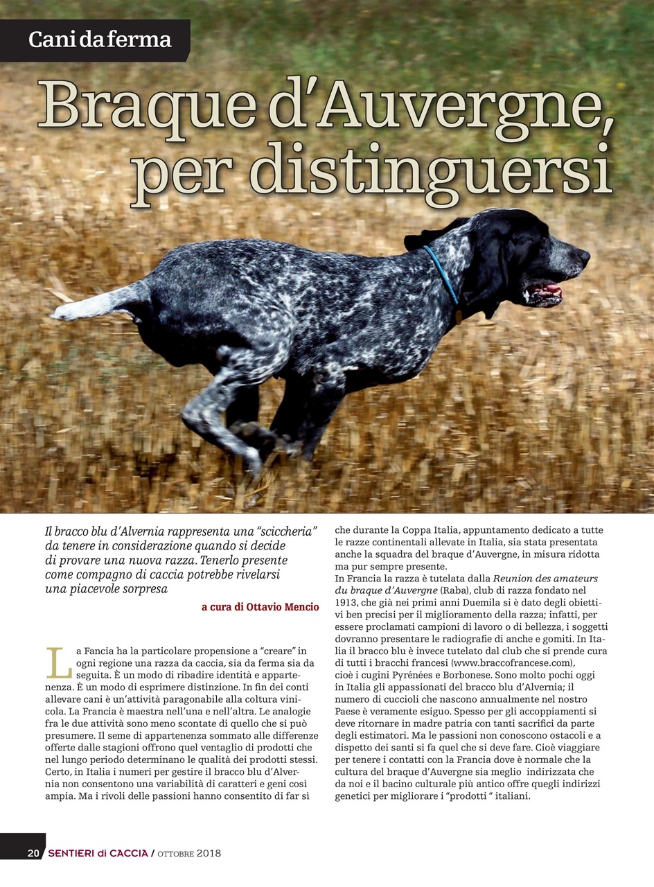 SENTIERI DI CACCIA Preview Pages