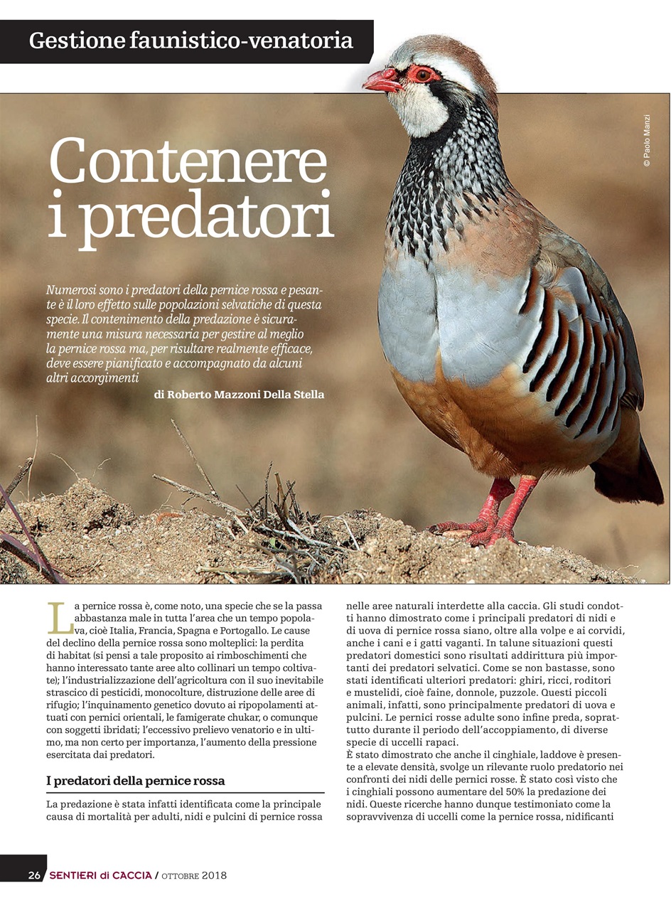 SENTIERI DI CACCIA Preview Pages