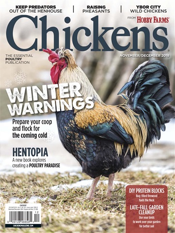 Chickens Magazine issue NovDec 2018