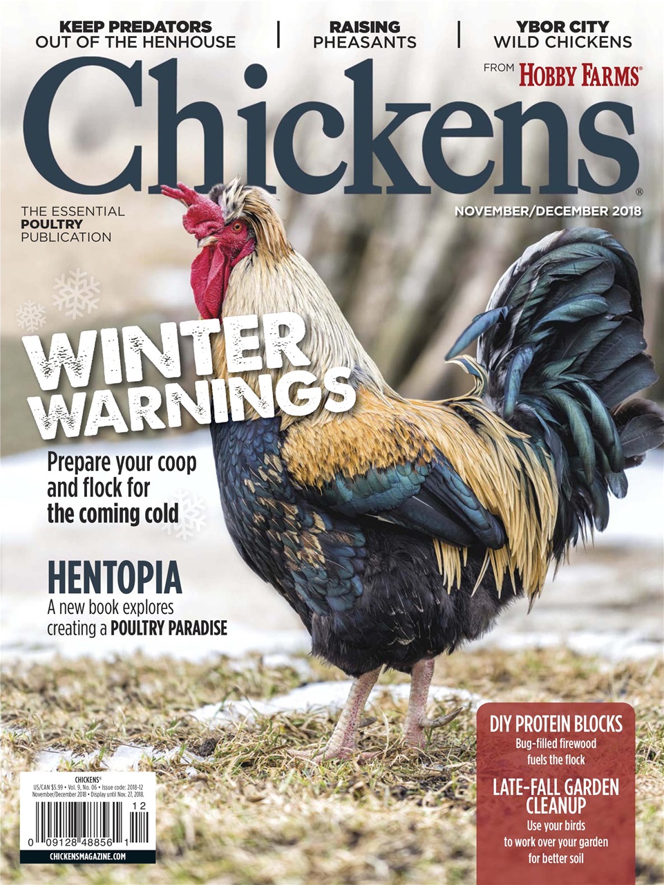 Chickens Magazine Preview Pages