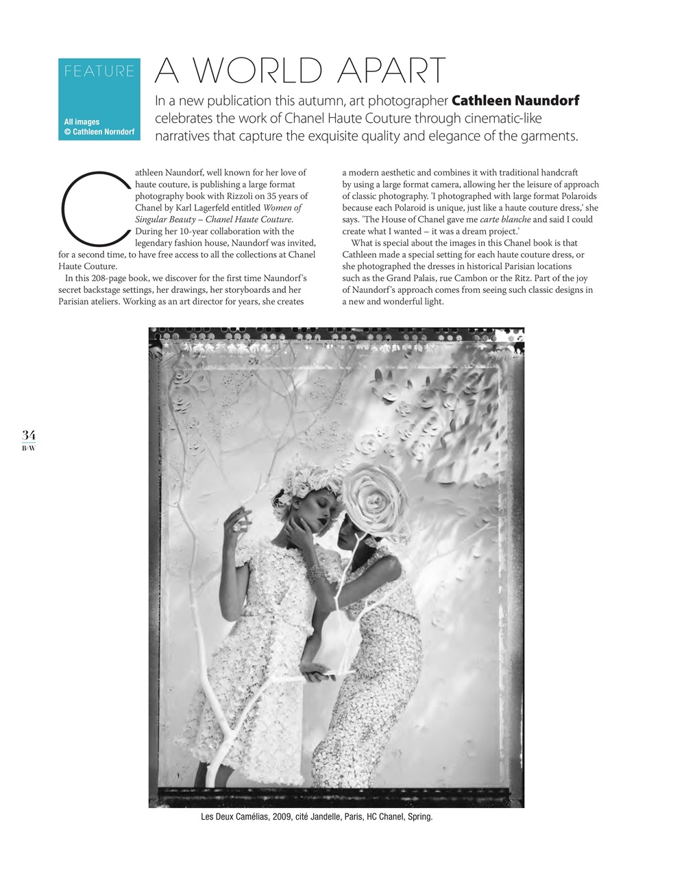 Black+White Photography Preview Pages