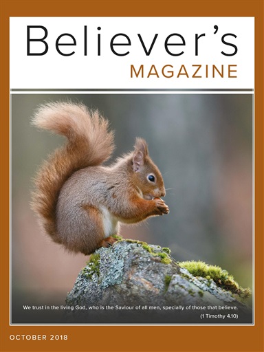Believer Magazine issue 