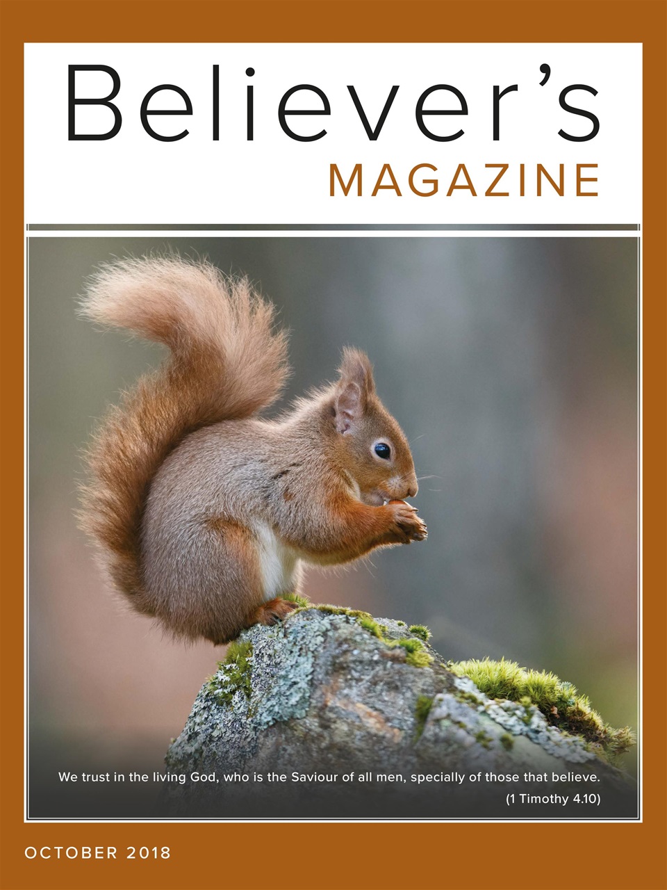 Believer Magazine Preview Pages