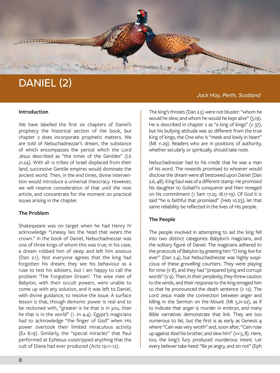 Believer Magazine Preview Pages