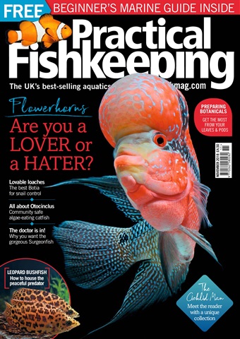Practical Fishkeeping issue November 2018