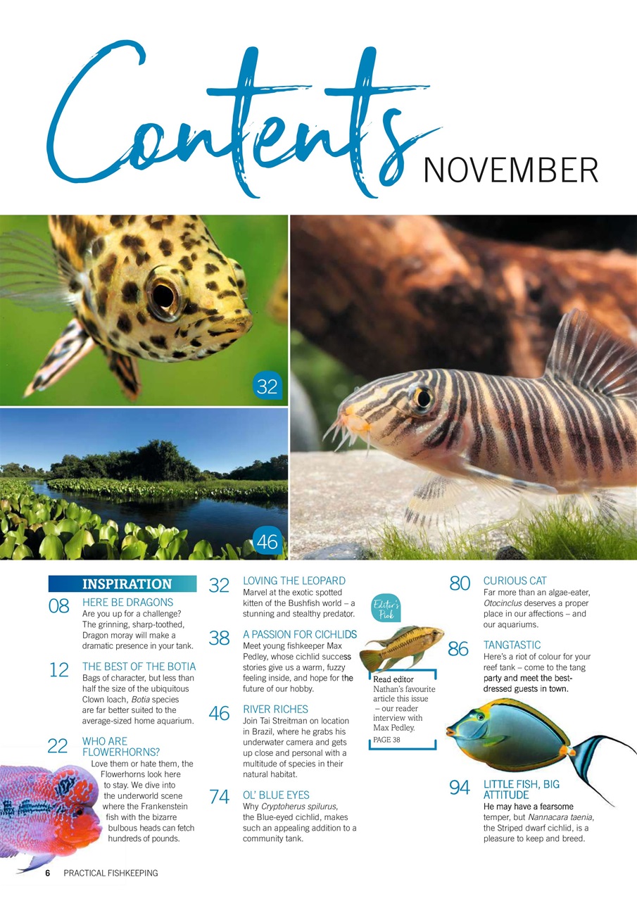 Practical Fishkeeping Preview Pages